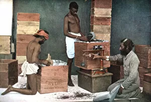 Plantation Worker Gallery: Packing and weighing tea for export on a Ceylon (Sri Lanka) estate, 1905