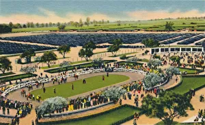 The Paddock at Santa Anita, Los Angeles Turf Club, Arcadia, California, 1930s