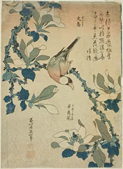 Heron Prints: Paddy Bird and Magnolia Flowers (Buncho)