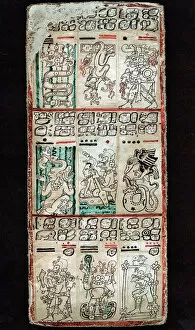 Pre Columbian Collection: Page from the Dresden Codex, Maya manuscript