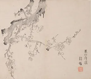 Images Dated 21st October 2020: Page from Shi Zhu Zhai. Creator: Unknown
