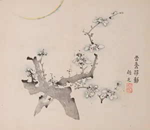 Images Dated 21st October 2020: Page from Shi Zhu Zhai. Creator: Unknown