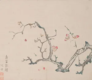 Images Dated 22nd October 2020: Page from Shi Zhu Zhai. Creator: Unknown