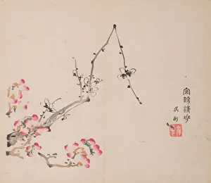 Images Dated 22nd October 2020: Page from Shi Zhu Zhai. Creator: Unknown
