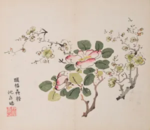 Images Dated 22nd October 2020: Page from Shi Zhu Zhai. Creator: Unknown