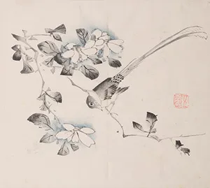 Images Dated 21st October 2020: Page from Shi Zhu Zhai. Creator: Unknown