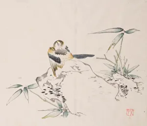 Images Dated 21st October 2020: Page from Shi Zhu Zhai. Creator: Unknown