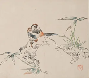 Images Dated 21st October 2020: Page from Shi Zhu Zhai. Creator: Unknown