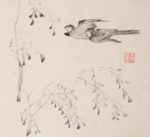 Images Dated 21st October 2020: Page from Shi Zhu Zhai. Creator: Unknown