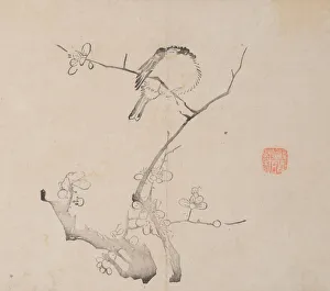 Images Dated 21st October 2020: Page from Shi Zhu Zhai Shu hua pu. Creator: Unknown