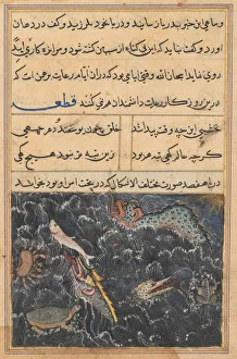 Page from Tales of a Parrot (Tuti-nama): Eleventh night: The creatures of the sea…, c