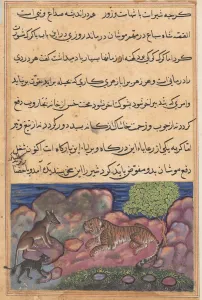 Reign Of Akbar Prints: Page from Tales of a Parrot (Tuti-nama): Fifteenth night: The wolf advises the lion