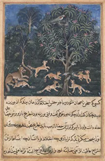 Page from Tales of a Parrot (Tuti-nama): Fifth night: The parrot mother cautions