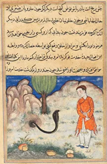 Page from Tales of a Parrot (Tuti-nama): Thirty-seventh night: The prince... c. 1560