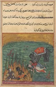 Ink And Gold On Paper Collection: Page from Tales of a Parrot (Tuti-nama): Twenty-second night: As punishment... c