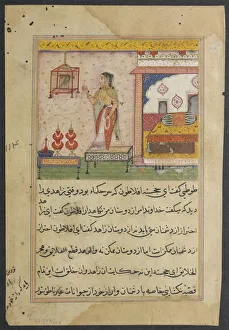 Page from Tales of a Parrot (Tuti-nama): Twenty-third night: The parrot addresses
