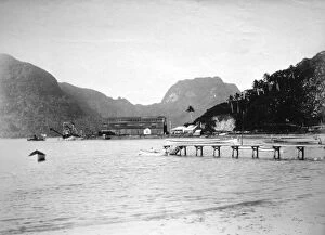 Samoa Gallery: Pago Pago Harbor, in the island of Tutuila, American Samoa, 1889