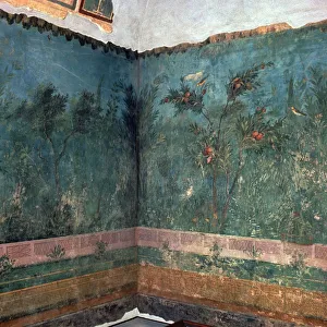 Painted room from Livias villa, 1st century BC