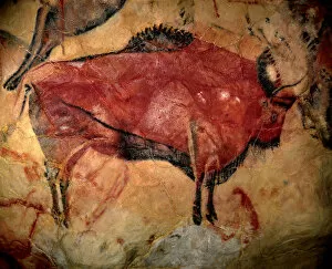 Art Of The Upper Paleolithic Gallery: Painting in the cave of Altamira, 35, 000 to 11, 000 BC. Artist: Art of the Upper Paleolithic