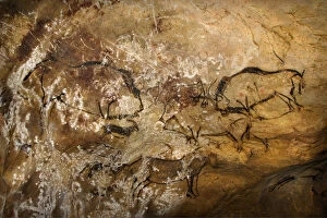 Caves Containing Pictograms Gallery: Painting in the Cave of Niaux. Artist: Art of the Upper Paleolithic