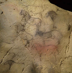 Animals And Birds Collection: Painting in the Ekain Cave. Creator: Art of the Upper Paleolithic
