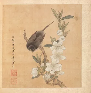 Chen Hongshou Prints: Paintings after Ancient Masters: A Bird and Peach-Blossom Branch, 1598-1652. Creator