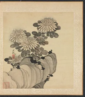 Chen Hongshou Prints: Paintings after Ancient Masters: Chrysanthemum and Rock, 1598-1652. Creator: Chen Hongshou