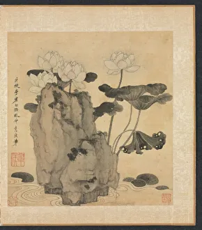 Chen Hongshou Prints: Paintings after Ancient Masters: Lotus and Rocks