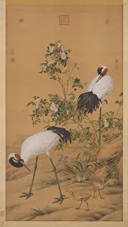 Crane Prints: Pair of Cranes in the Shade of Flowers. Creator: Castiglione, Giuseppe (1829-1908)