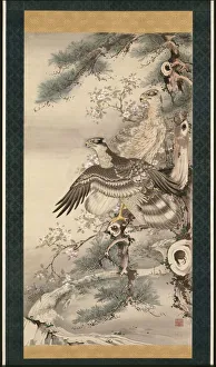 Hawks Prints: Pair of Hawks with Branch and Blossoms. Artist: Shohaku, Soga (1730-1781)