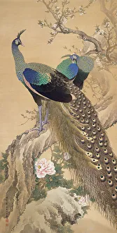 Gouache On Silk Prints: A Pair of Peacocks in Spring, 1901. Creator: Keinen, Imao (1845-1924)