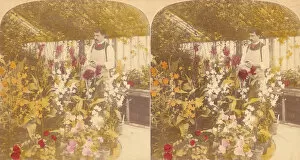 Underwood Underwood Gallery: Pair of Stereograph Views of the Royal Botanic Gardens, Kew Gardens, London, England
