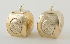 Wading Bird Gallery: Pair of Tea Caddies, London, 1878 / 79. Creator: William Barnard