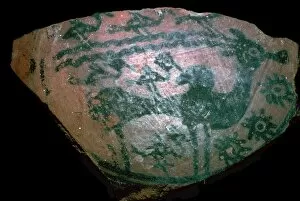 Hump Gallery: Pakistani sherd painted with stylised humped bull, 18th century BC
