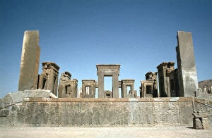 Vivienne Gallery: Palace of Darius, Persepolis, Iran