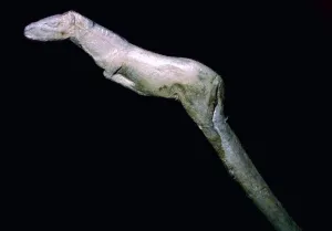 A paleolithic carved bone horse