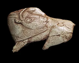 Antler Prints: Paleolithic carving of a bison