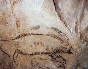 Pyrenees Gallery: Paleolithic cave-painting of a bison and ibex