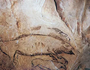 Cave Painting Prints: Paleolithic cave-painting of a bison and ibex