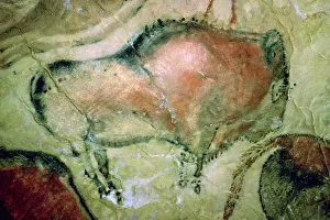 Paleolithic cave-painting of Bison from Spain