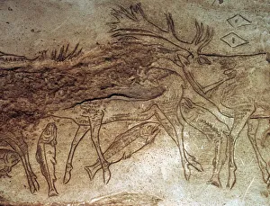 Bone Prints: Paleolithic engraved bone with reindeer