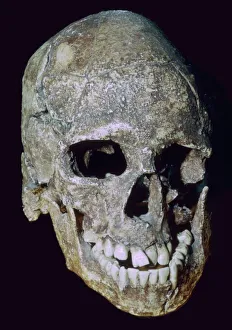Human Prints: Paleolithic Skull of Grimaldi man (replica)