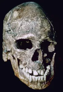 Bone Prints: Paleolithic Skull of Grimaldi man, his species unknown