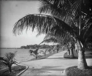 Transparency Prints: Palm Beach, c1894. Creator: William H. Jackson