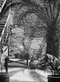Backyard Prints: Palm courtyard, New Orleans, between 1920 and 1926. Creator: Arnold Genthe