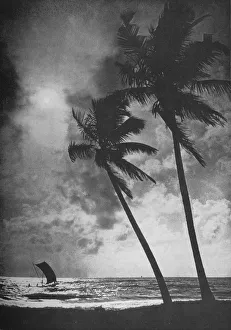 The Palm Fringed Shore at Sunset, c1890, (1910). Artist: Alfred William Amandus Plate