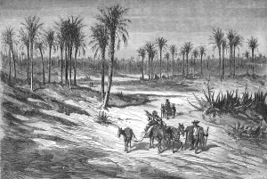 Elche Prints: Palm groves of Elche, near Alicante; Notes on Spain, 1875. Creator: Unknown