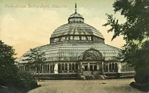 Glass Gallery: Palm House, Sefton Park, Liverpool, 1946. Creator: Unknown