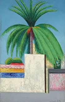 Precisionism Prints: Palm Tree, c1930. Creator: Stella, Joseph (1877-1946)