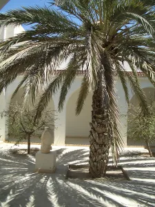 Branch Prints: Palm tree and shadows, El Jem Archaeological Museum, Tunisia, 2009. Creator: Amanda Waite
